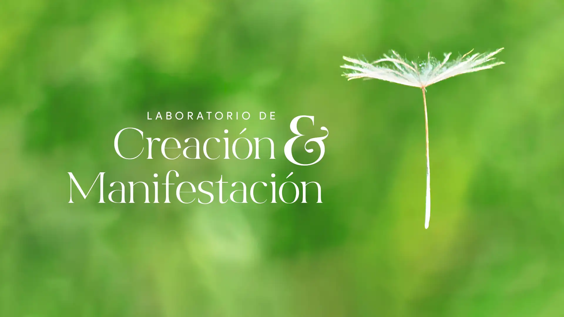 Creación & Manifestación